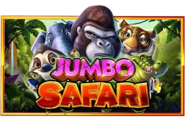 dauntogel slot live dealer Sakong table with professional studio setup